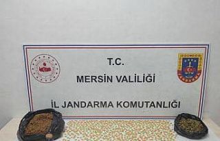 Mersin’de uyuşturucu taciri 2 şüpheli yakalandı