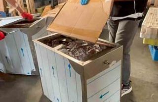 Metal kolilerden binlerce sentetik hap çıktı: 2...