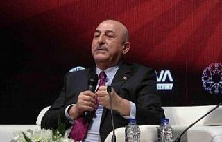 Mevlüt Çavuşoğlu, "Müslüman ülkelere karşı...