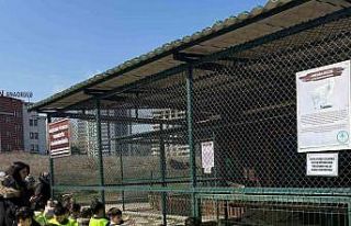 Minikler için doğada eğlence ve eğitim bir arada