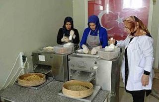 Misafirlerine yaptığı yuvalama hayatını değiştirdi