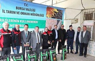 Mudanya Çayönü Mahallesi’nde yağlık ay çiçek...