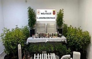 Muğla’da 15’inci yüzyıla ait Tevrat ele geçirildi