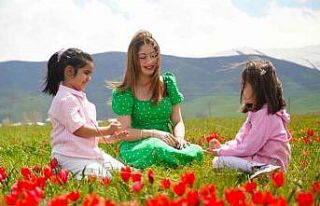 Muş lalesi ovayı kırmızıya boyadı