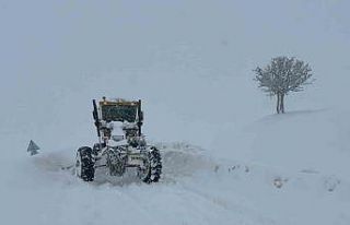 Muş’ta 55 köy yolu kapandı