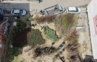 Muş’ta meyve fidanları satışa çıkarıldı