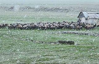 Muş’ta nisan karı etkisini sürdürüyor: 22 köy...