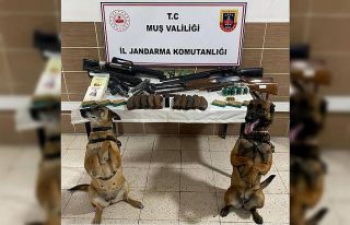 Muş’ta silah ve mühimmat ele geçirildi