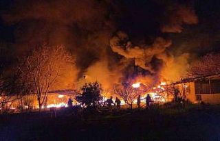 Muz deposu alevlere teslim oldu: 3 saatte kontrol...