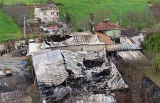 Muz deposundaki yangının zararı gün ağarınca...