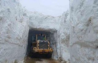 Nisan ayında 6 metreyi bulan karda yol açma çalışması