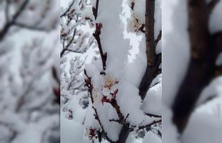 Nisan karı mahalleyi beyaza bürüdü