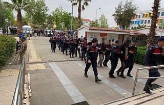 Onaylı Sertifika dolandırıcılığından gözaltına...