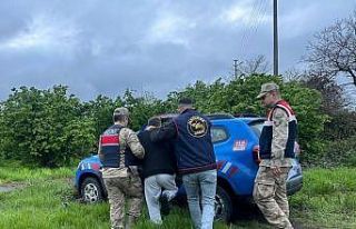 Ordu’da jandarma aranan 31 şüpheliyi yakaladı
