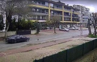 Otomobilin çarpmasıyla ölen kedinin yavrusu başından...