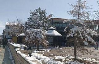 Özalp’ta nisan karı etkili oldu