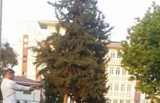 Parkta çocuğa oyuncak silahla atış talimi yaptırdı