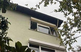 Pencereden bakan ev kedisi itfaiyeyi alarma geçirdi