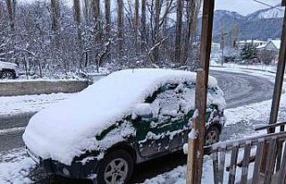 Posof’ta kar yağışı etkili oldu