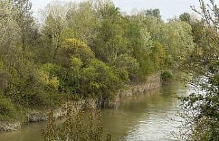 Sakarya Nehri’ne düşen çocuk didik didik aranıyor