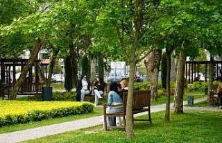 Sakarya’da güneşli havayı fırsat bilen vatandaşlar...