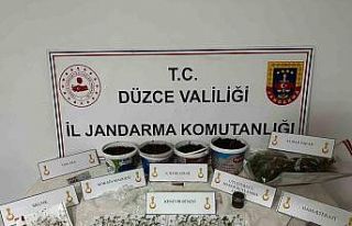 Saksıda kenevir yetiştiren şahıs gözaltına alındı