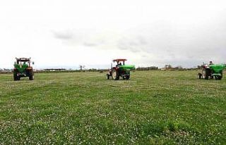 Samsun’da meralarda ıslah çalışmaları sürüyor