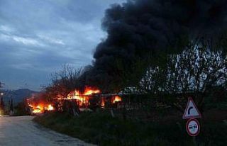 Samsun’da meyve deposunda yangın: Ekipler müdahale...