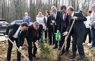 Samsun’da ormanlar ağaçlandırılıyor