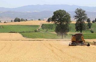 Samsun’da tarım, hayvancılık ve kırsal kalkınmaya...