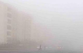 Şanlıurfa’da sis nedeniyle görüş mesafesi düştü