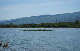 Sapanca Gölü çekildi: Gizemli ada yeniden ortaya...