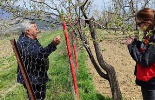 Şaphane’de zirai don alarmı sonrası rahatlatan...