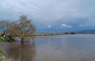 Sarıgöl Ovası’nda su sevinci