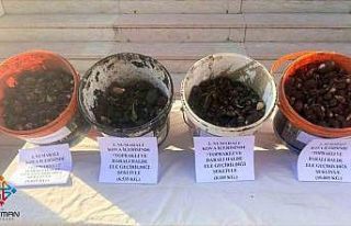 Sason’da endemik bitki operasyonu: 4 kişiye 2 milyon...