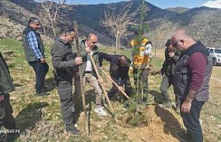 Sason’da şehitler anısına fidanlar toprakla buluşturuldu