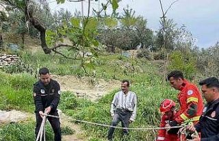 Seydikemer’de mahsur kalan inek itfaiye ekipleri...