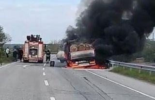 Seyir halindeki tomruk yüklü kamyon alevlere teslim...