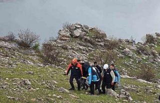 Siirt’te atıyla birlikte kayalıklara yuvarlanan...