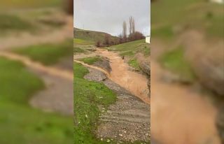 Siirt’te dolu yağışı etkili oldu, bahçeler...