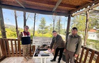 Siirt’te kaçak avcılığa geçit yok: 51 bin lira...