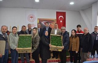 Sinop’ta 135 bin fide toprakla buluşuyor