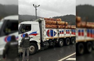 Sinop’ta orman ürünlerine 183 noktada denetim