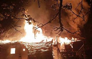 Sinop’ta yangın: 2 katlı ev, ahır, ambar kül...