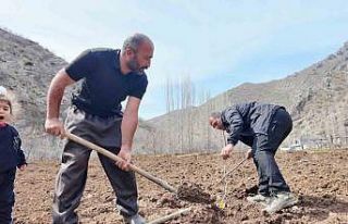 Şırnaklı çiftçi devlet desteğiyle bütün arazisine...