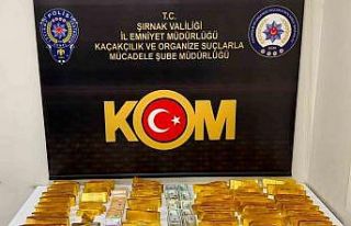 Şırnak’ta dev operasyon: 610 milyon liralık kaçakçılık...