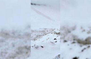 Şırnak’ta ilkbaharda kar yağışı: 2 bin 200...