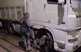 Sivas’ta 12 kilo uyuşturucu ele geçirildi: 2 tutuklama