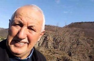 Sivas’ta dağ keçileri muhtarın cep telefonu kamerasına...