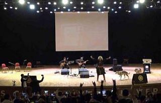 Sivas’ta Nevruz kutlamalarında renkli görüntüler:...